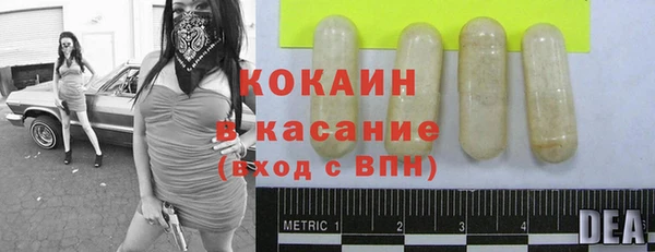 ешки Алзамай