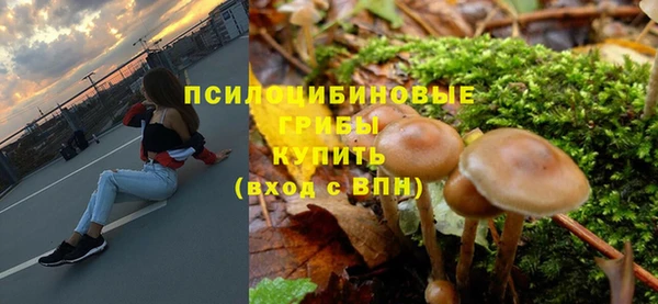 ешки Алзамай