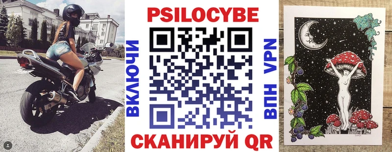 Псилоцибиновые грибы MAGIC MUSHROOMS KRAKEN как войти Щигры как найти закладки